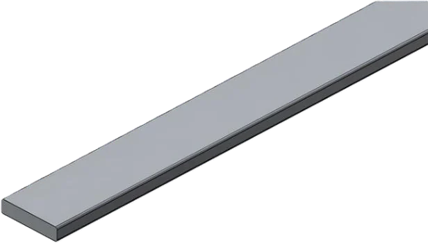 Stainless Steel Strip / Flat